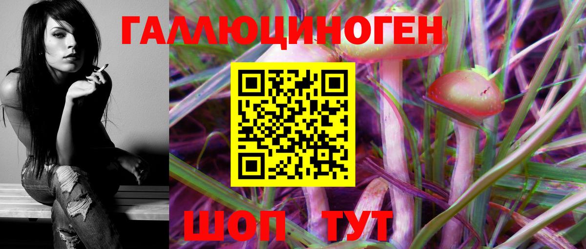 Галлюциногенные грибы GOLDEN TEACHER  купить закладку  Гусь-Хрустальный  Вход с VPN  Псилоцибиновые грибы Psilocybine cubensis 